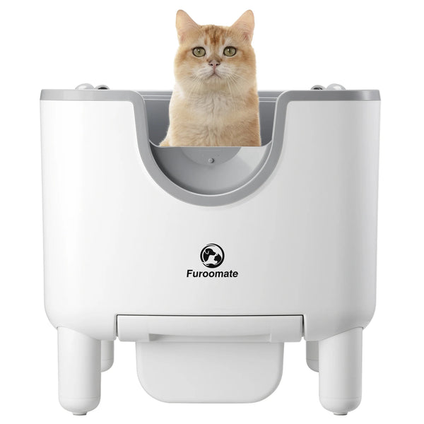 EasyClean Pro Auto Litter Station