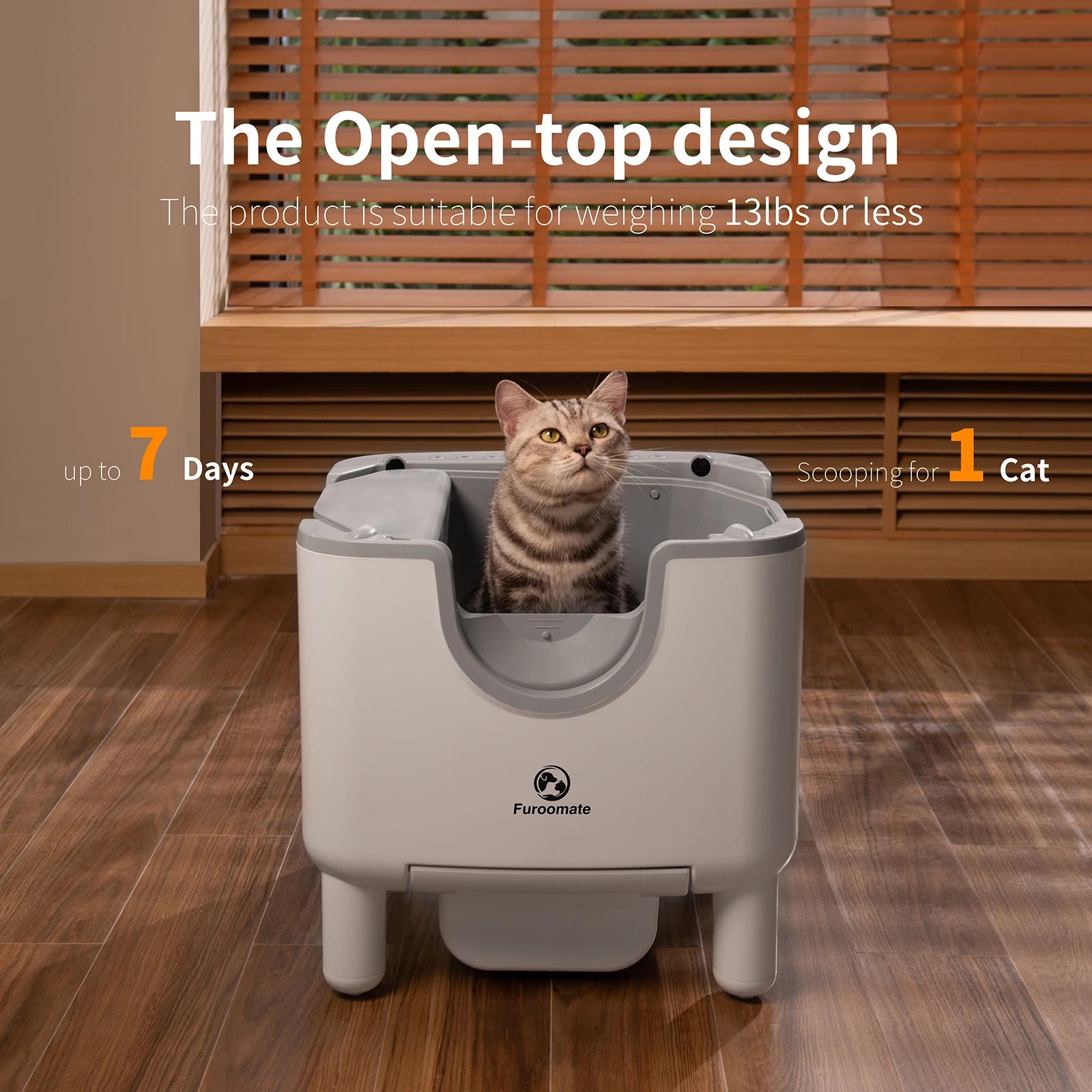 EasyClean Pro Auto Litter Station